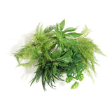 アートパネル 光触媒 観葉植物 | Botanical c.class 07