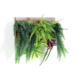 人工観葉植物 ウォールグリーン | Botanical c.class 14