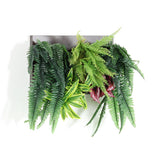 人工観葉植物 ウォールグリーン | Botanical c.class 14