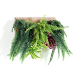 人工観葉植物 ウォールグリーン | Botanical c.class 14