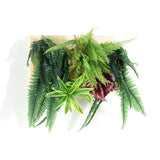 人工観葉植物 ウォールグリーン | Botanical c.class 14