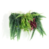 人工観葉植物 ウォールグリーン | Botanical c.class 14