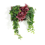 壁掛け アートパネル | Botanical c.class 16