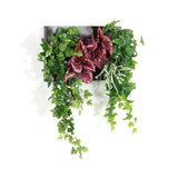 壁掛け アートパネル | Botanical c.class 16