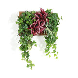 壁掛け アートパネル | Botanical c.class 16