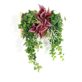 壁掛け アートパネル | Botanical c.class 16