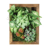 観葉植物 フェイク | Botanical slc.class 03