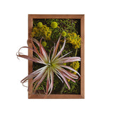 人工観葉植物 ウォールグリーン | Botanical s.class 20