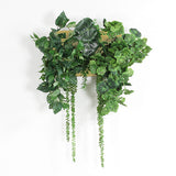 人工観葉植物 ウォールグリーン | Botanical c.class 22