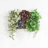 フェイクグリーン 壁掛け 光触媒 | Botanical c.class 23