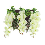 光触媒 壁掛け アートパネル | Botanical c.class 29