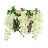 光触媒 壁掛け アートパネル | Botanical c.class 29