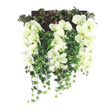 光触媒 人工観葉植物 | Botanical c.class 30