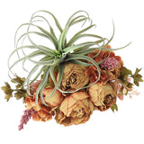 光触媒 人工観葉植物 | Botanical EQ.class 26