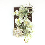 アートフラワー パネル 光触媒加工 | Botanical v.class 02