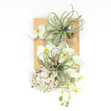 アートフラワー パネル 光触媒加工 | Botanical v.class 02