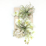 アートフラワー パネル 光触媒加工 | Botanical v.class 02