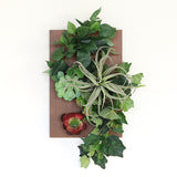 アートパネル 光触媒加工 | Botanical v.class 04