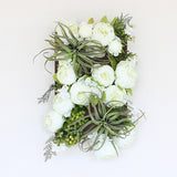 アートパネル 防汚 エアプランツ | Botanical v.class 05