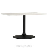 ダイニングテーブル シンプル | CT-RGR12070 Atype-D脚