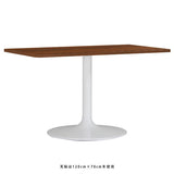 ダイニングテーブル シンプル | CT-RGR12070 Atype-D脚