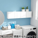 ウォールシェルフ 扉付き | WallBox7-DX B-1200 nail