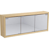 ウォールシェルフ ウォールミラー | 能登ヒバ WB-DXミラー E-750 M