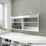 ウォールシェルフ ディスプレイ棚 | Mirai ウォールラックL 1202560 nail