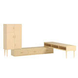 テレビ台 ローキャビネット | T-003/1500 T3L-cabi 2点セット