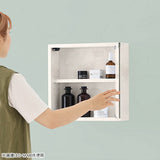 ミラーキャビネット 鏡扉 | WallBox7-DXミラー D-M棚付き nail