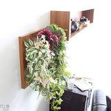 人工観葉植物 ウォールグリーン | Botanical a.class 01