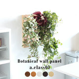人工観葉植物 ウォールグリーン | Botanical a.class 01