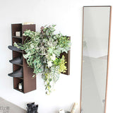 アートパネル 光触媒 観葉植物 | Botanical a.class 02