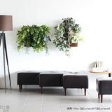 アートパネル 光触媒 観葉植物 | Botanical a.class 02