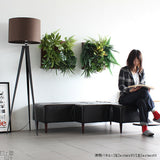 観葉植物 フェイク | Botanical a.class 07