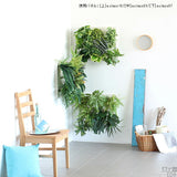 観葉植物 フェイク | Botanical a.class 07