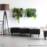 光触媒 人工観葉植物 | Botanical a.class 10