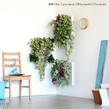 人工観葉植物 ウォールグリーン | Botanical a.class 05