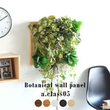 人工観葉植物 ウォールグリーン | Botanical a.class 05