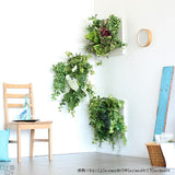 壁掛け アートパネル | Botanical a.class 06