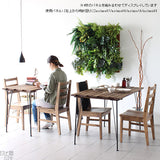 観葉植物 フェイク | Botanical a.class 07