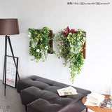 人工観葉植物 ウォールグリーン | Botanical a.class 01