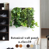 光触媒 人工観葉植物 | Botanical a.class 10