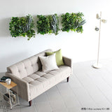 光触媒 人工観葉植物 | Botanical a.class 10