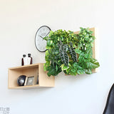 光触媒 人工観葉植物 | Botanical a.class 10