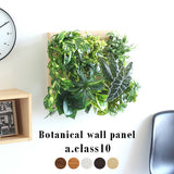 光触媒 人工観葉植物 | Botanical a.class 10