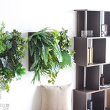 光触媒 壁掛け アートパネル | Botanical a.class 11