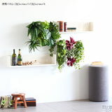 光触媒 人工観葉植物 | Botanical a.class 16