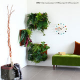 人工観葉植物 ウォールグリーン | Botanical a.class 14