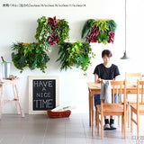 フェイクグリーン 壁掛け 光触媒 | Botanical a.class 18